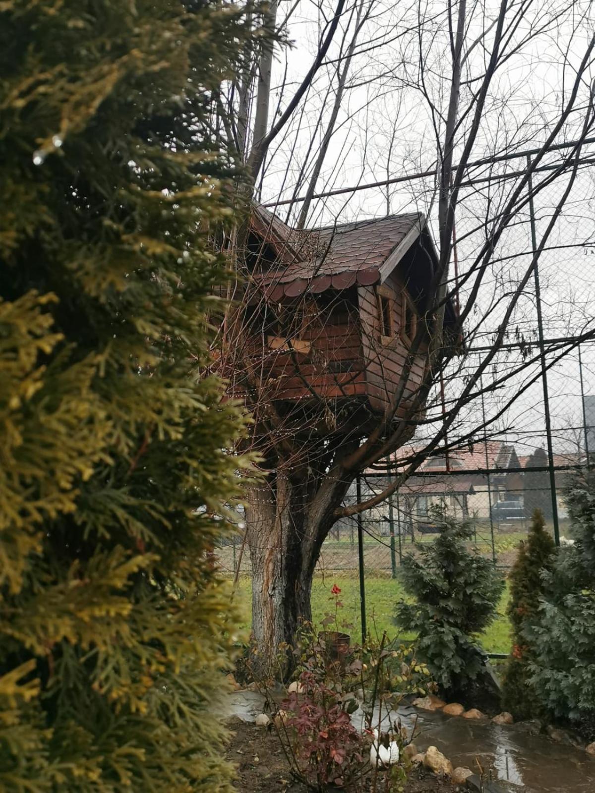 Doftana Apartaments Teşila Zimmer foto