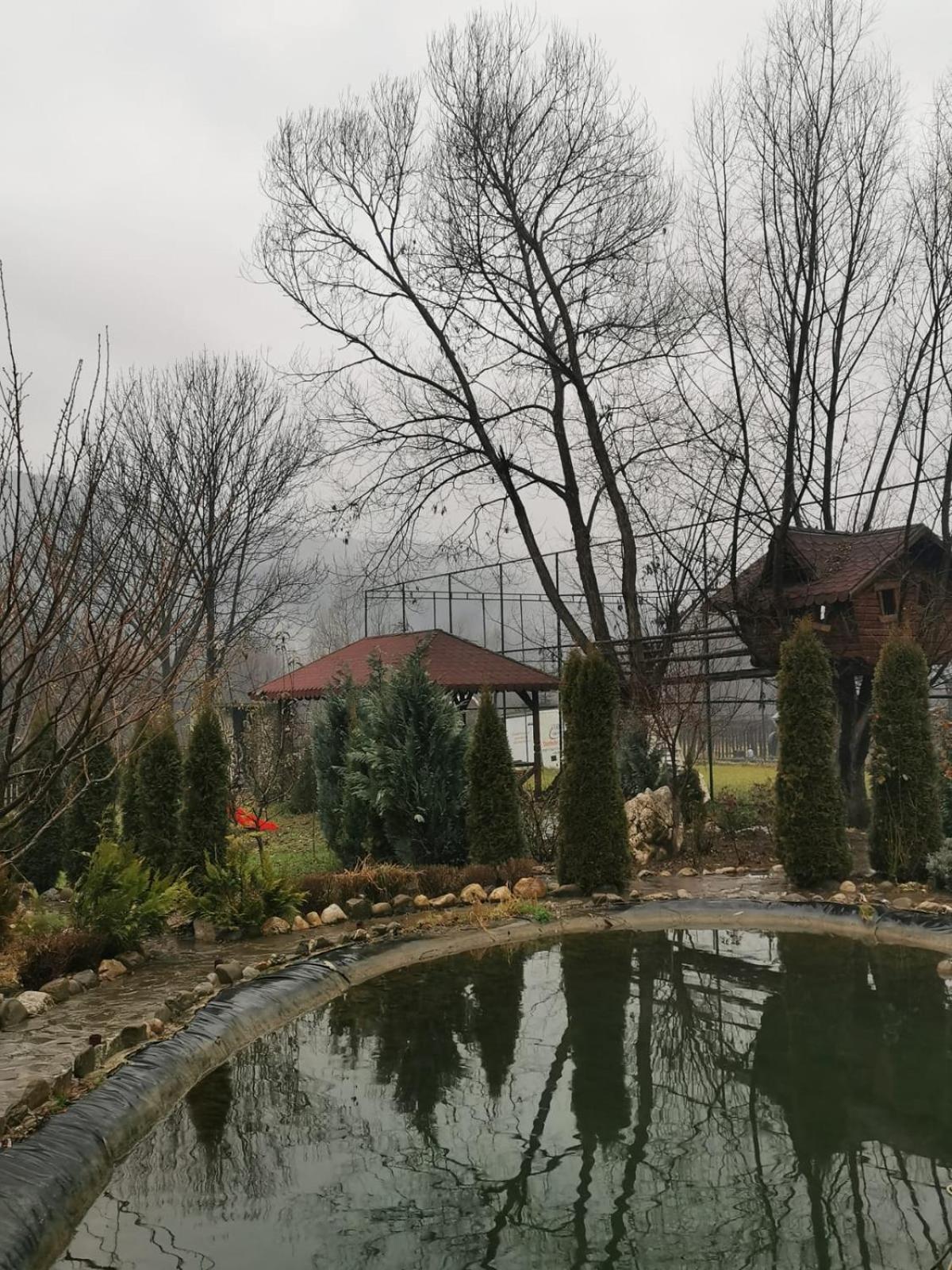 Doftana Apartaments Teşila Zimmer foto