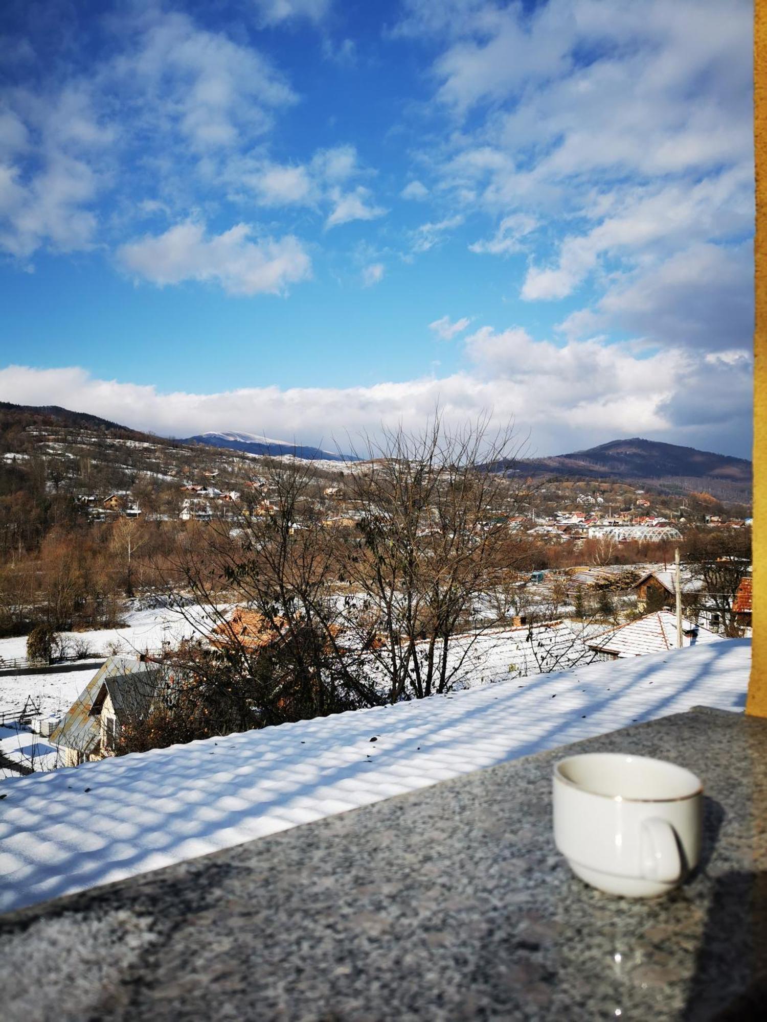 Doftana Apartaments Teşila Zimmer foto